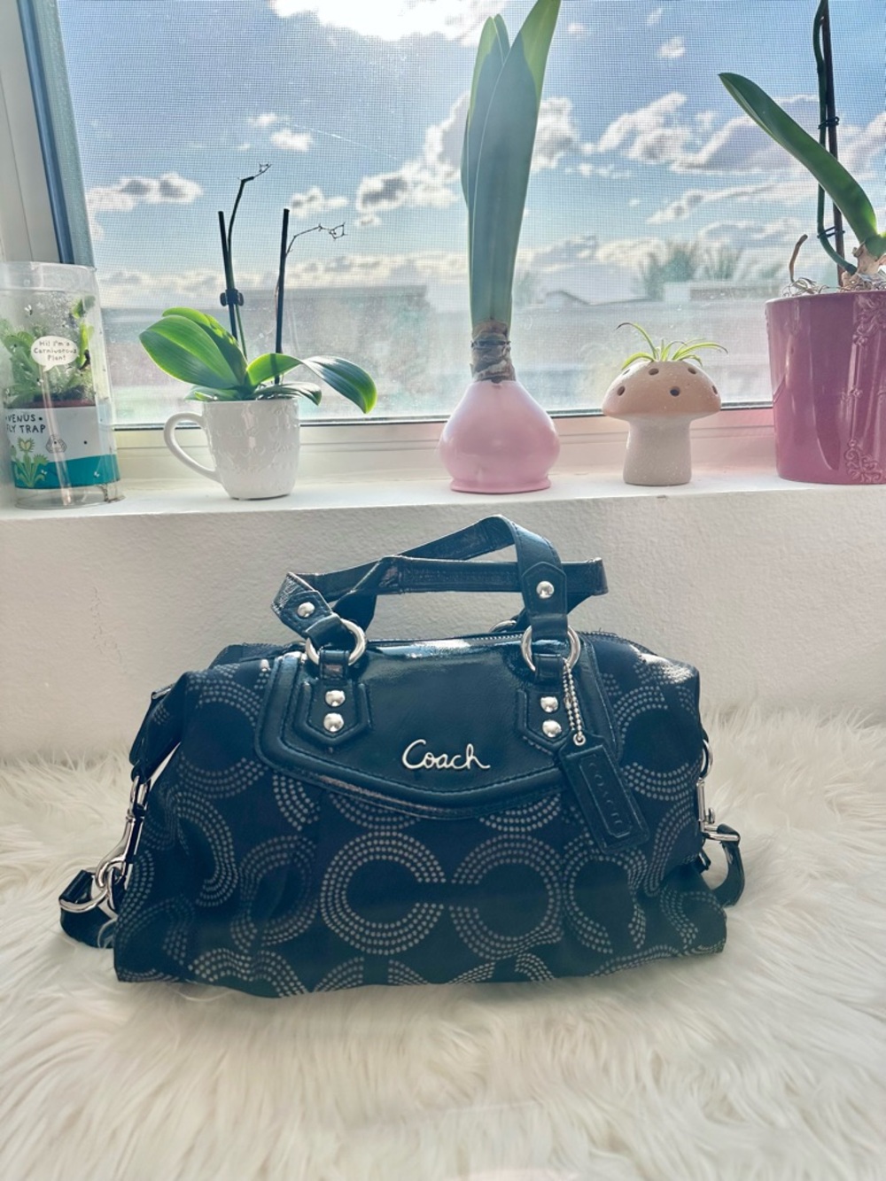COACH LUXURY BAG